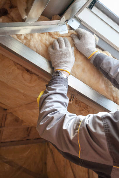 Best Insulation Installation Services in Silver Springs, NV
